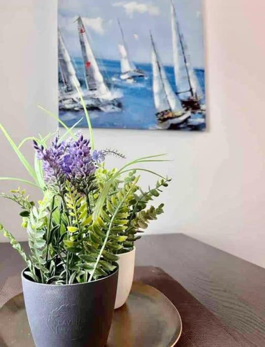 Appartement Un Ete Sans Fin A Deauville